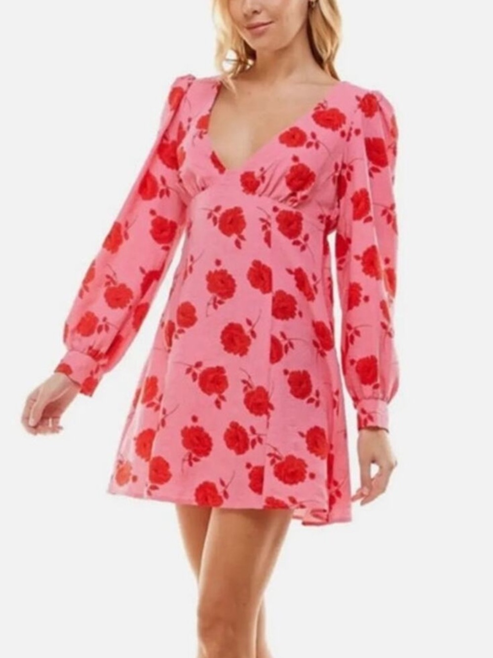 Crystal Doll Dress Pink and Red Floral Dress size medium